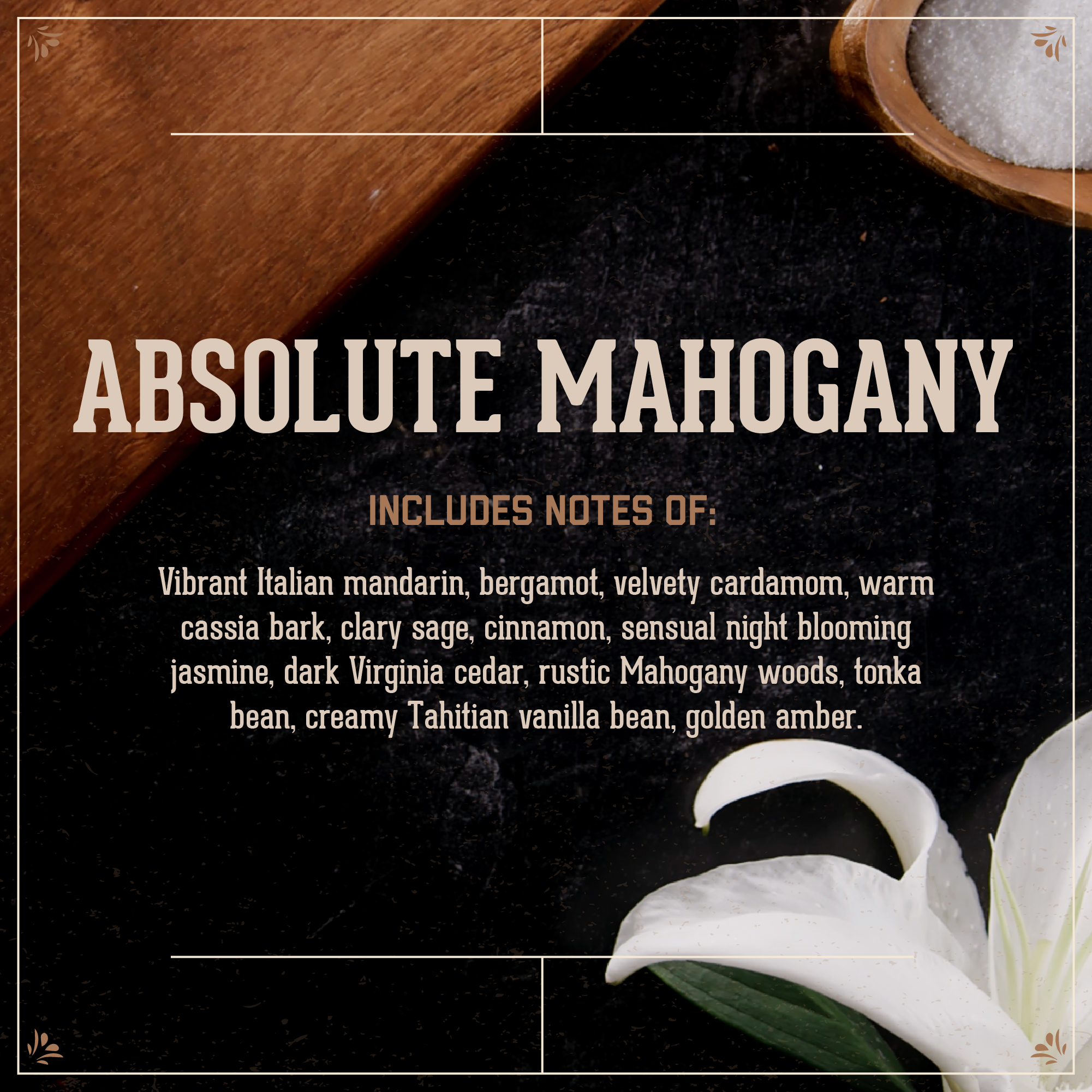 Absolute Mahogany scent description with notes and imagery of wood and jasmine flower