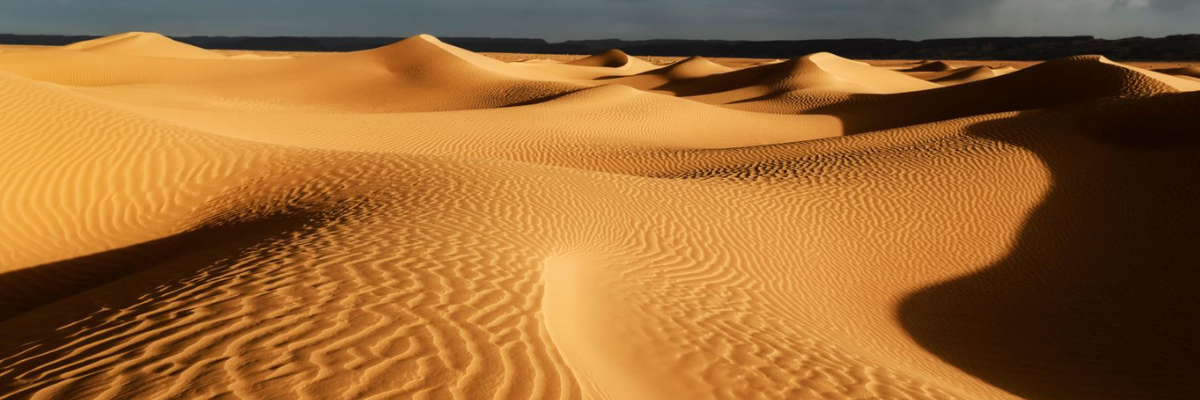 18.21's newest scent. Notes of bergamot, grapefruit and amber with hints of tangy lemon rind, clove leaf and smoked oud. This kingly scent will transport you to distant lands and make you feel like you've been knighted by her majesty the queen.